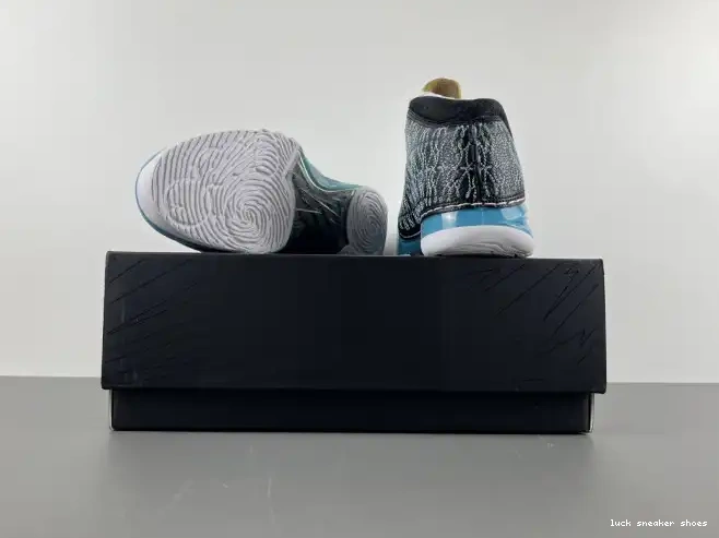 Reps LUCY UNC 318376-041 23 Jordan 0430